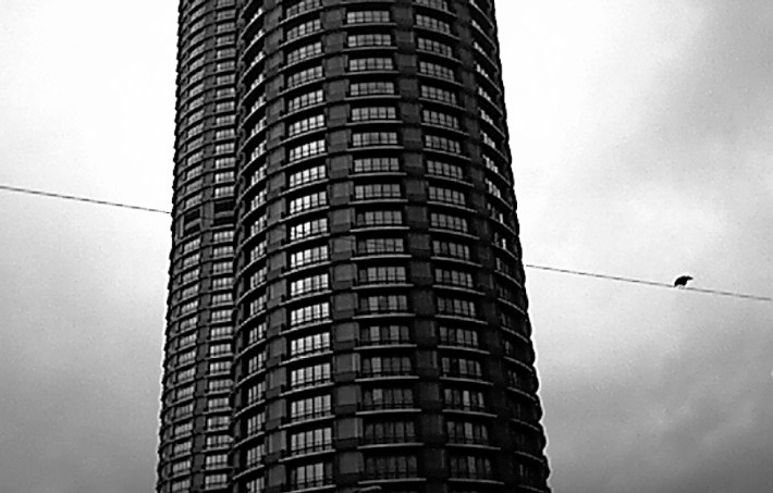 Seattle used to be a place with more birds on wires.